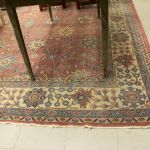 821 4342 ORIENTAL RUG